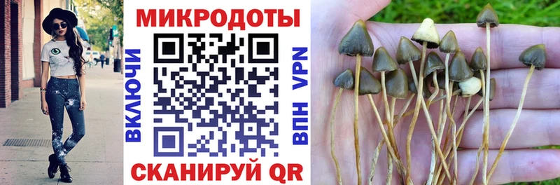 Псилоцибиновые грибы прущие грибы  Данилов 